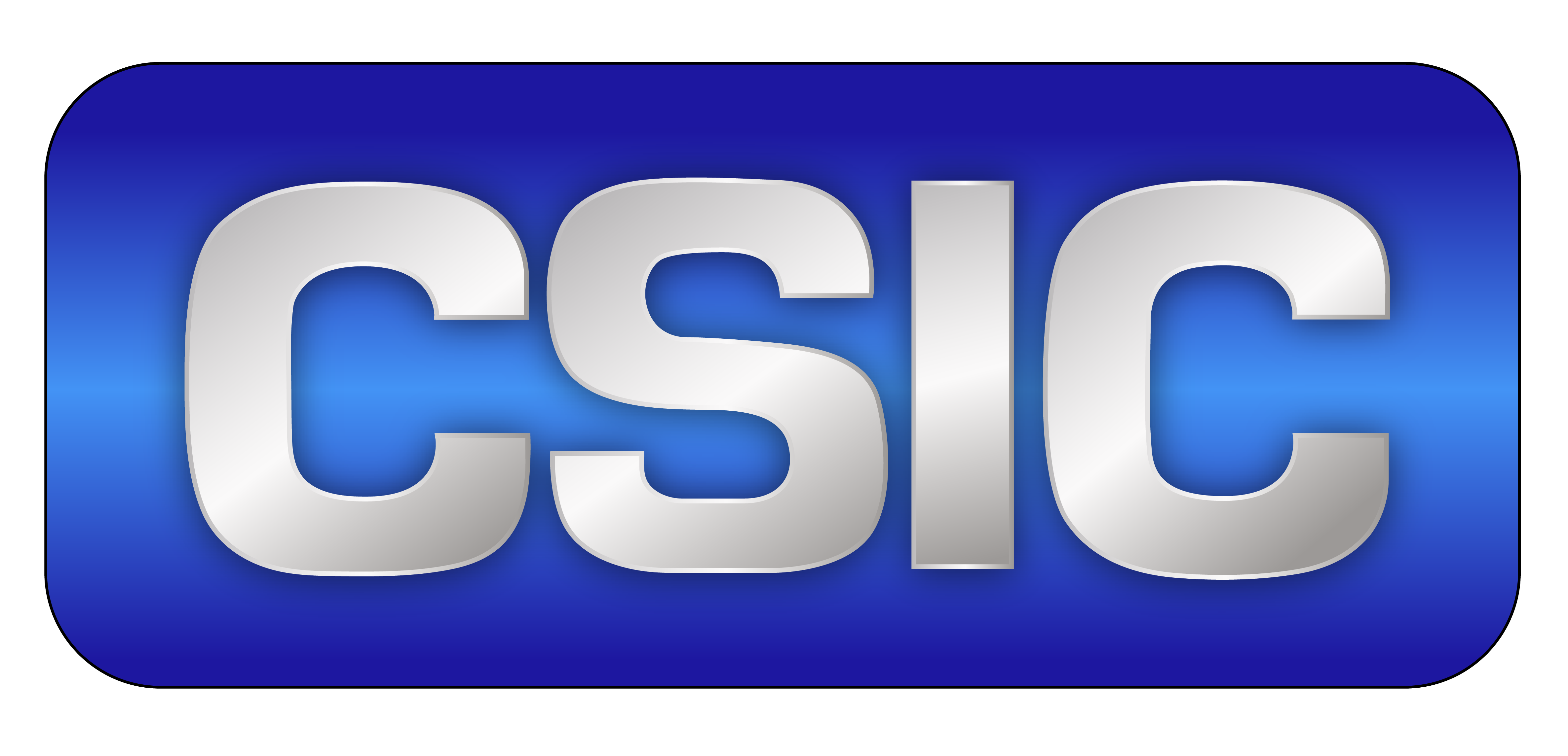 CSIC Logo